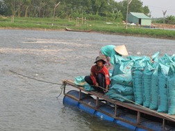  Vì thiếu nguyên liệu nên thuế chống bán phá giá lần 9 tăng hay giảm thì giá cá tra nguyên liệu cũng dự báo sẽ tăng mạnh, ở mức trên 24.000 đồng/kg