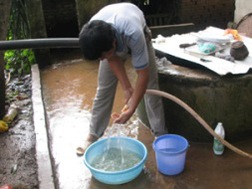 Nghệ An: Hàng trăm hộ dân sống trong ô nhiễm do nằm cạnh các trang trại bò sữa