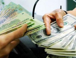 NHNN đang theo dõi sát tình hình thị trường ngoại hối