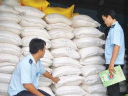 Đối diện với đường lậu