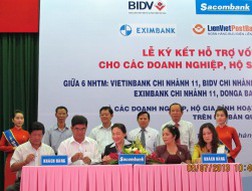 TPHCM: 6 ngân hàng cho các DN quận 11 vay 255 tỷ đồng