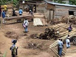 Châu Phi xuất ròng hay nhập ròng gỗ?