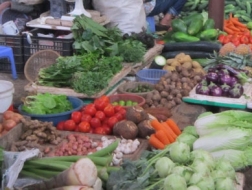 Nhìn lại thị trường hàng hóa 6 tháng đầu năm