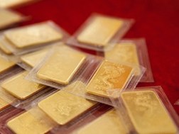 25.500 lượng vàng trúng thầu giá cao