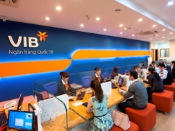 Bất ngờ sở hữu cổ đông lớn tại VIB