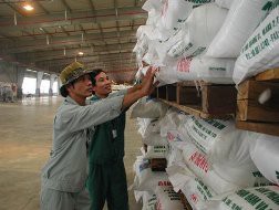 Việt Nam có thể chuyển từ nhập sang xuất khẩu phân bón