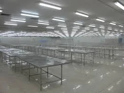 Từ đầu tháng 10, hàng loạt nhà máy cá tra phải đóng cửa