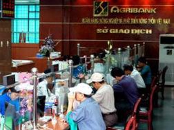 Nợ xấu thực của Agribank lên tới...33.500 tỉ đồng