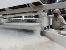 Thái Lan sẽ thống trị thị trường đường thế giới