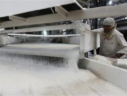 Thái Lan sẽ thống trị thị trường đường thế giới