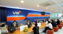 Ngân hàng Quốc Tế (VIB) tuyển dụng từ chuyên viên, quản lý tới giám đốc