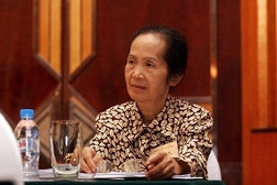 Chuyên gia kinh tế Phạm Chi Lan: 7 thách thức và 5 cơ hội