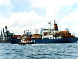 Doanh nghiệp kinh doanh dịch vụ cảng cùng nhau báo lãi