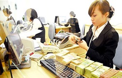 Bình chọn chính sách tồi, tại sao không?