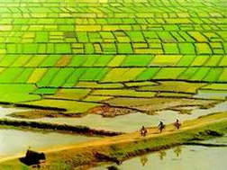Hoàn thiện dự thảo Luật đất đai (sửa đổi) trước 10-5
