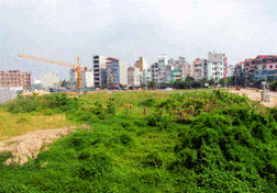 Hà Nội: Thu hồi hai dự án bất động sản do chậm triển khai