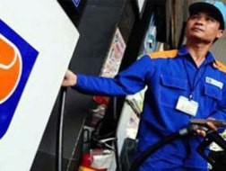 Đem tiền ra nước ngoài buôn bán, Petrolimex lãi lớn