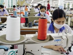 Một điểm khá bất ngờ là việc giảm chi phí giá vốn của TNG chủ yếu xuất phát từ giảm ­chi phí nhân công