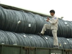 Nhiều sai phạm tại tổng công ty Thép Việt Nam