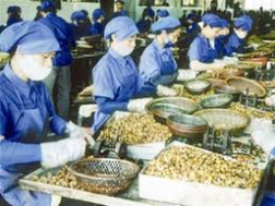 Đề xuất “bí mật”