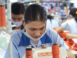 Chỉ hy vọng ở quý 2