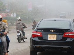 Xe "biển số vàng" được lưu thông đến hết tháng 3