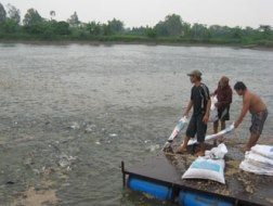 Trong nuôi thủy sản, thức ăn chiếm tới 70% giá thành. Ảnh: QUANG HUY