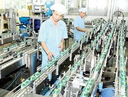 TP Hồ Chí Minh: Nhiều doanh nghiệp tăng tốc sản xuất