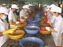 Xuất khẩu thủy sản gặp khó