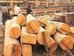 Cơ hội xuất khẩu của DN gỗ Việt Nam trong năm 2013