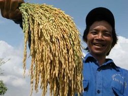 Thoát nghèo bằng... cầu may!?