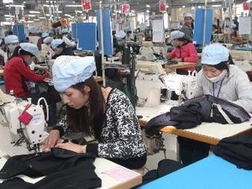 nh minh họa. (Nguồn: Trần Việt/TTXVN)