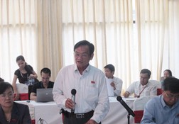 Đại biểu Trần Du Lịch cho biết năm 2012 ở TP.HCM có khoảng 70% DN không có lãi hoặc thua lỗ nên không phải nộp thuế TNDN. Ảnh: BM