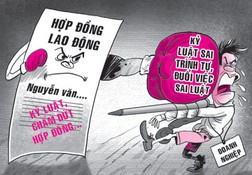 Những bài học tốn kém