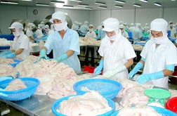 Nhà máy chế biến cá basa của Công ty QVD đầu tư tại tỉnh Đồng Tháp. Ảnh: CAO THĂNG