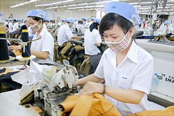 Sẵn sàng cho “đại tiệc” TPP