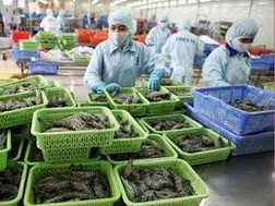 Vua tôm Minh Phú ĐƯỢC áp thuế chống bán phá giá bằng 0