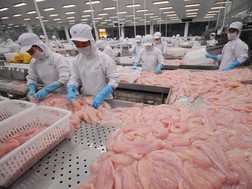 Doanh nghiệp thủy sản gặp khó khăn trong việc kê khai khấu trừ, hoàn thuế GTGT