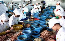 Cà phê, hạt điều được gia hạn nợ tín dụng xuất khẩu