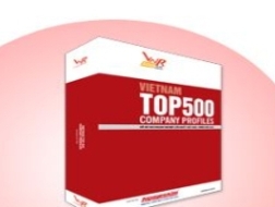 Soi kết quả hoạt động của 500 DN tăng trưởng nhất Việt Nam