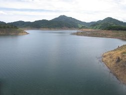 Sản lượng cá đánh bắt tự nhiên sau khi có thủy điện Bình Điền đã giảm từ 50 - 70% - Ảnh: Do CSRD cung cấp