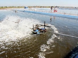 Bình Định thu hồi đất dự án gây ô nhiễm môi trường