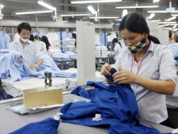 Chưa nhiều doanh nghiệp tận dụng tốt các lợi thế từ các FTA. 