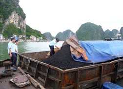 Đưa mặt hàng than vào Danh mục quản lý rủi ro hàng XK