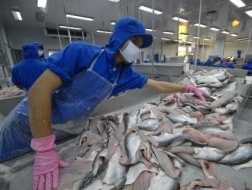 VASEP và 16 doanh nghiệp khởi kiện DOC