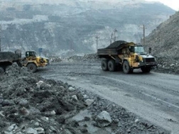 THT: LNST tăng 15,5% sau kiểm toán