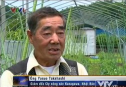 Nhật Bản đầu tư nông nghiệp vào Việt Nam: Nhiều rào cản