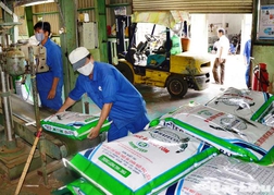 &ldquo;Tự cứu mình&rdquo; là cụm từ mà phần lớn doanh nghiệp chia sẻ để tự động viên cho nhau vượt qua khó khăn