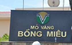 Đóng cửa hai công ty khai thác vàng lớn nhất Việt Nam vì tăng thuế tài nguyên?