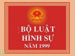 Tổng kết thi hành Bộ luật hình sự
